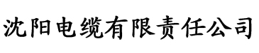 阴功十八法电缆厂logo